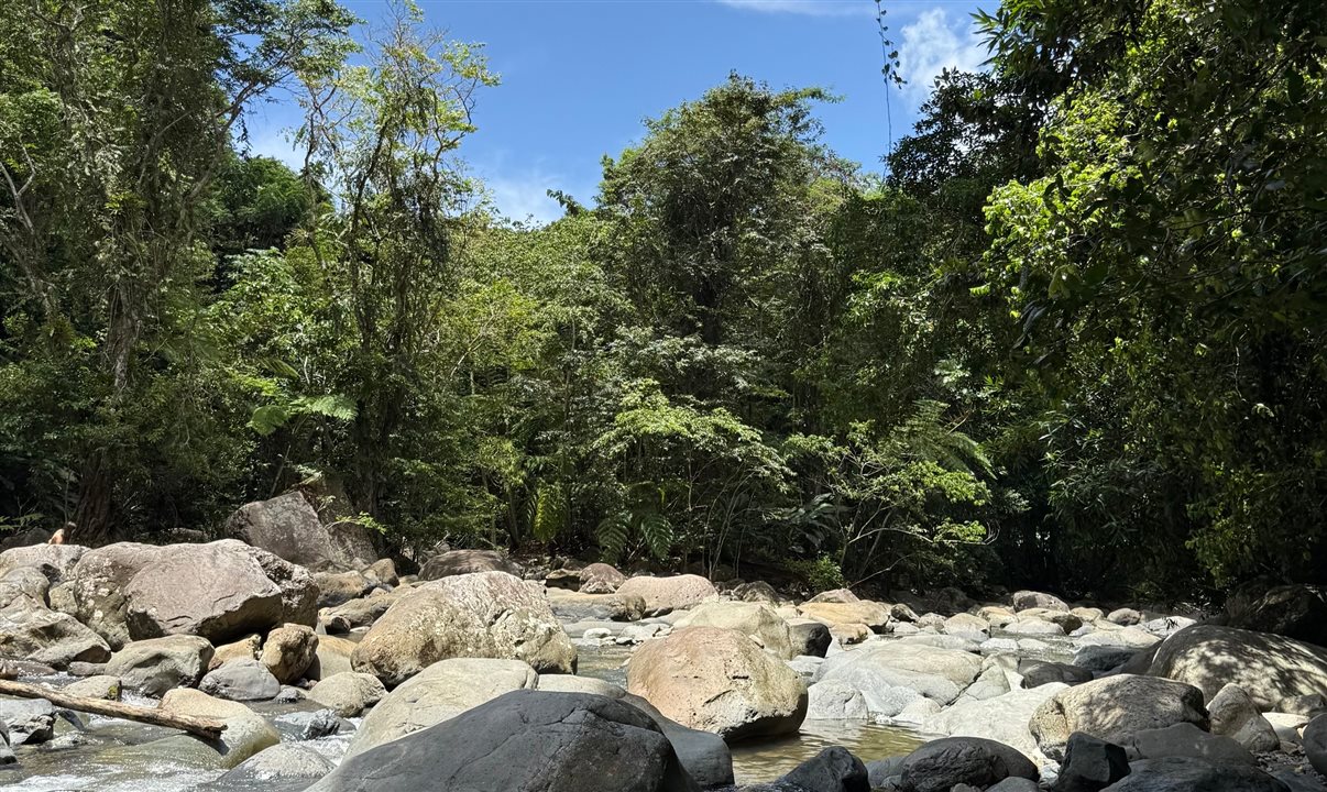 Cachoeira do El Yunque National Forest