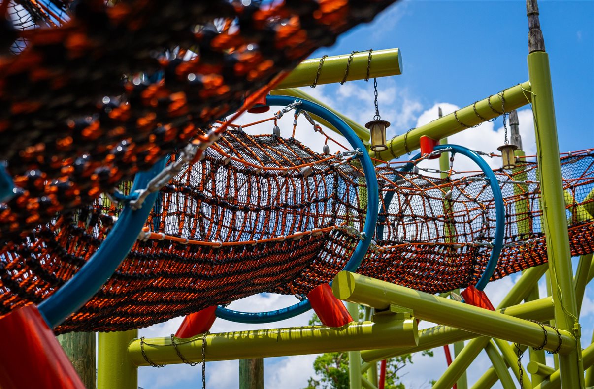 Wild Oasis no Busch Gardens