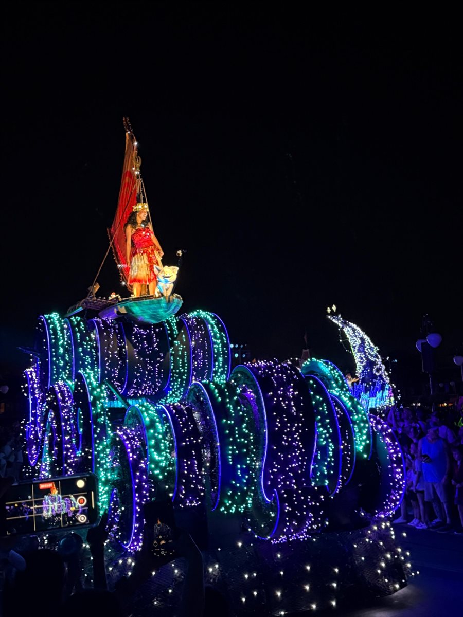 DISNEY STARLIGHT