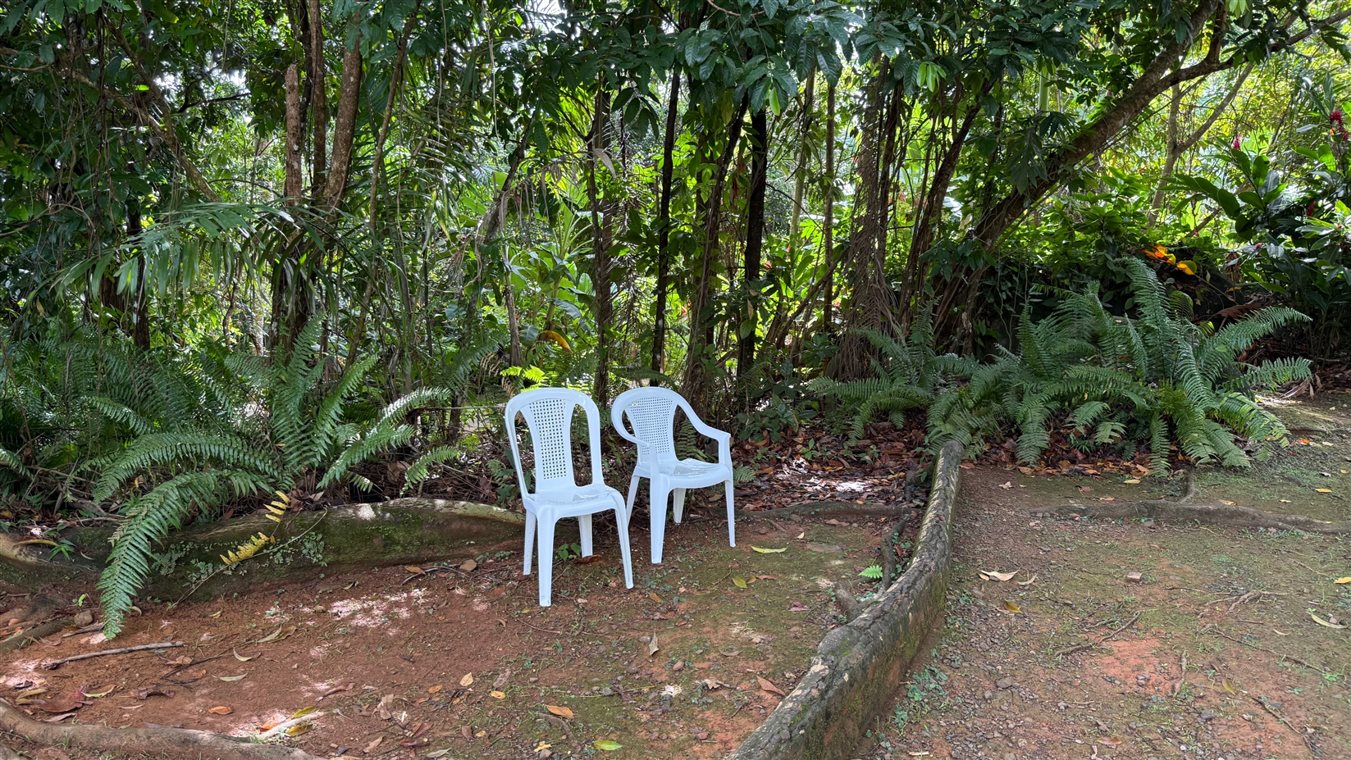 No El Yunque National Forest, cadeiras de plástico remontam à capa do álbum “Debí Tirar Más Fotos”, de Bad Bunny