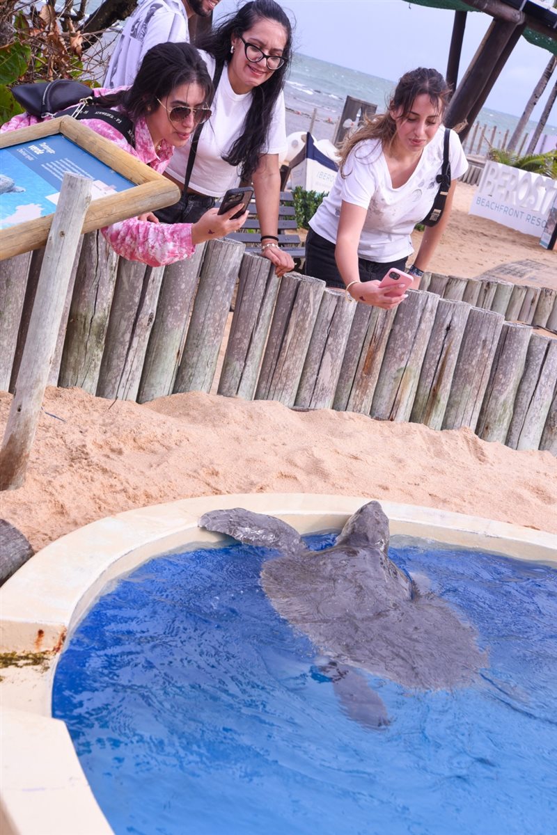 Na Praia do Forte, o grupo começou o passeio pela sede do Projeto Tamar na região