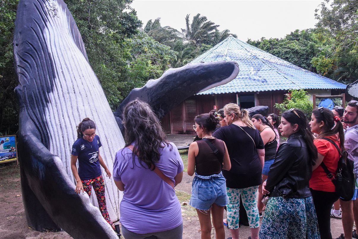 Na Praia do Forte, o grupo começou o passeio pela sede do Projeto Tamar na região
