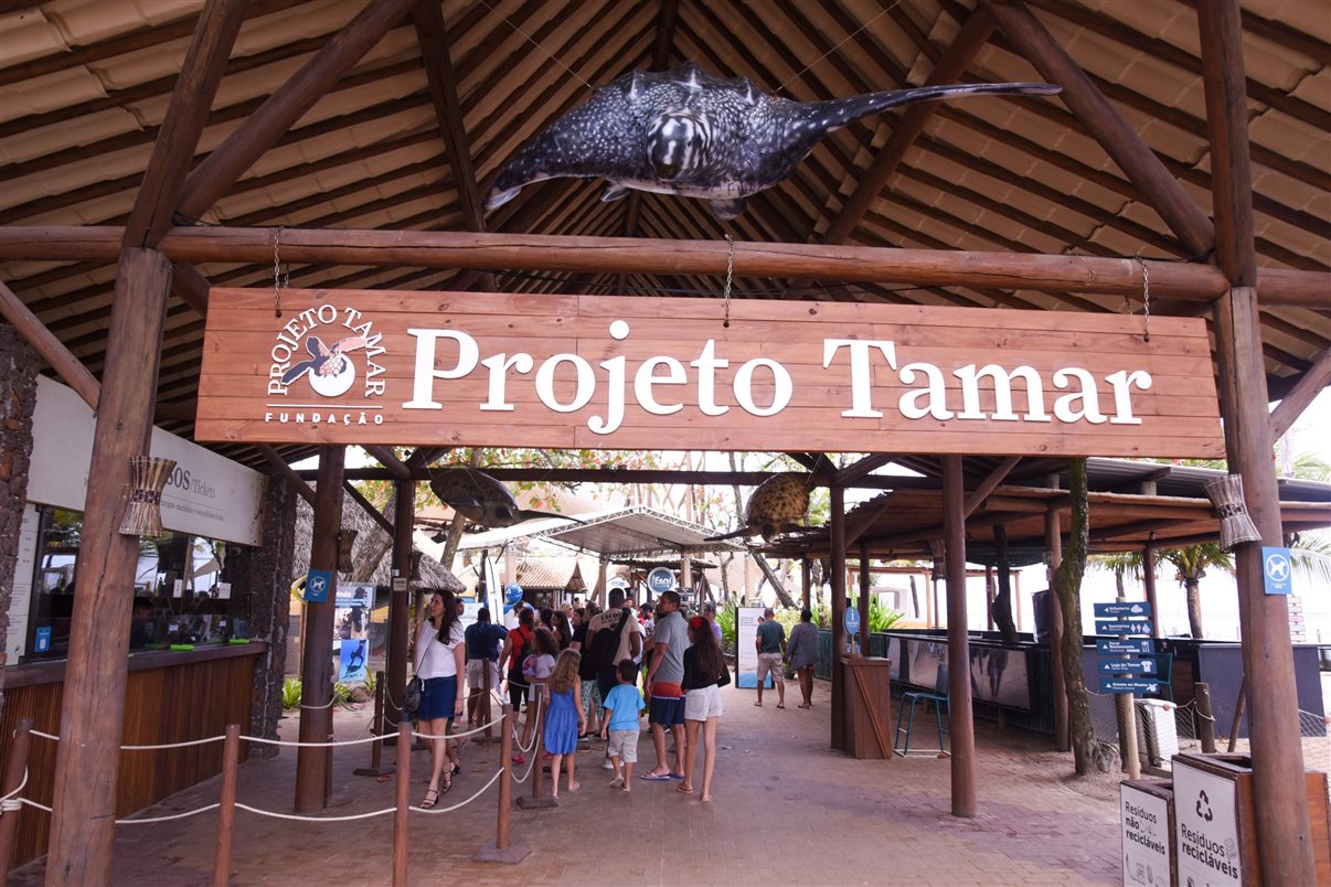 Na Praia do Forte, o grupo começou o passeio pela sede do Projeto Tamar na região