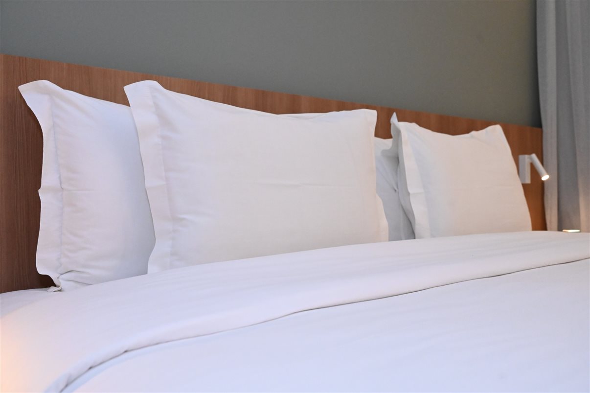 O hotel é petfriendly e oferece mimos para os animais de estimação