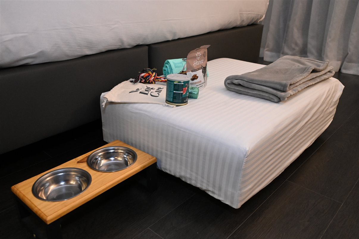 O hotel é petfriendly e oferece mimos para os animais de estimação