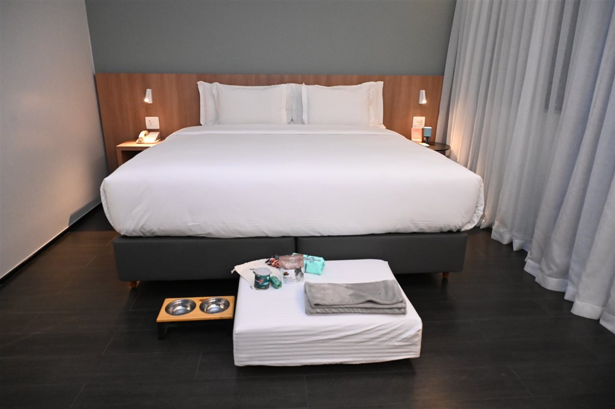Quarto The Innside Room City View também oferece amenidades para os pets