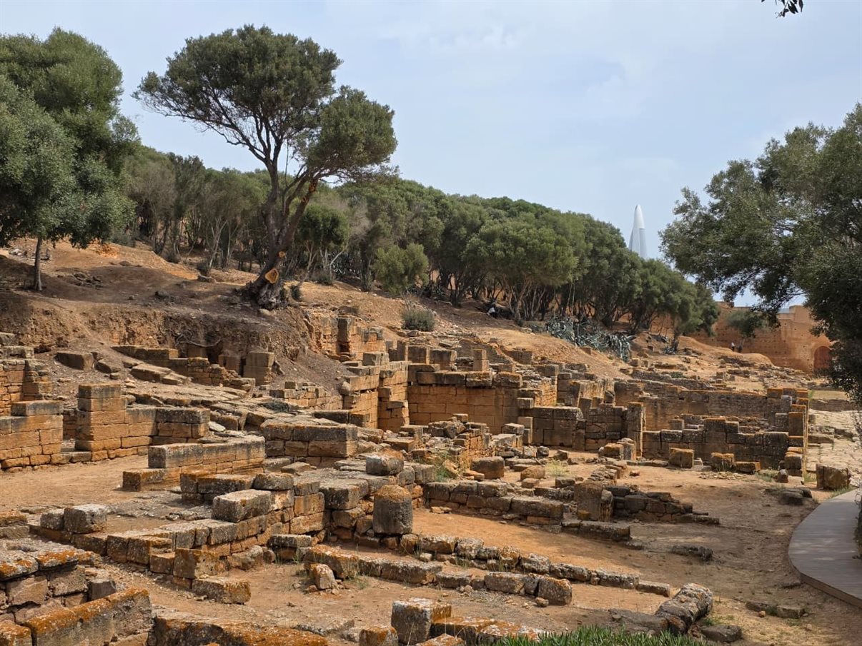 Grupo conhece o sítio arqueológico Chellah
