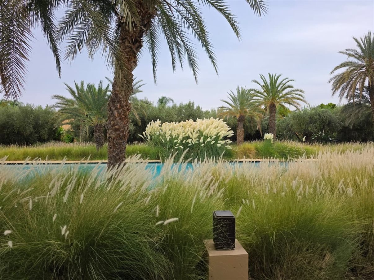 Área da piscina central do Mandarin Oriental Marrakech, com jardins