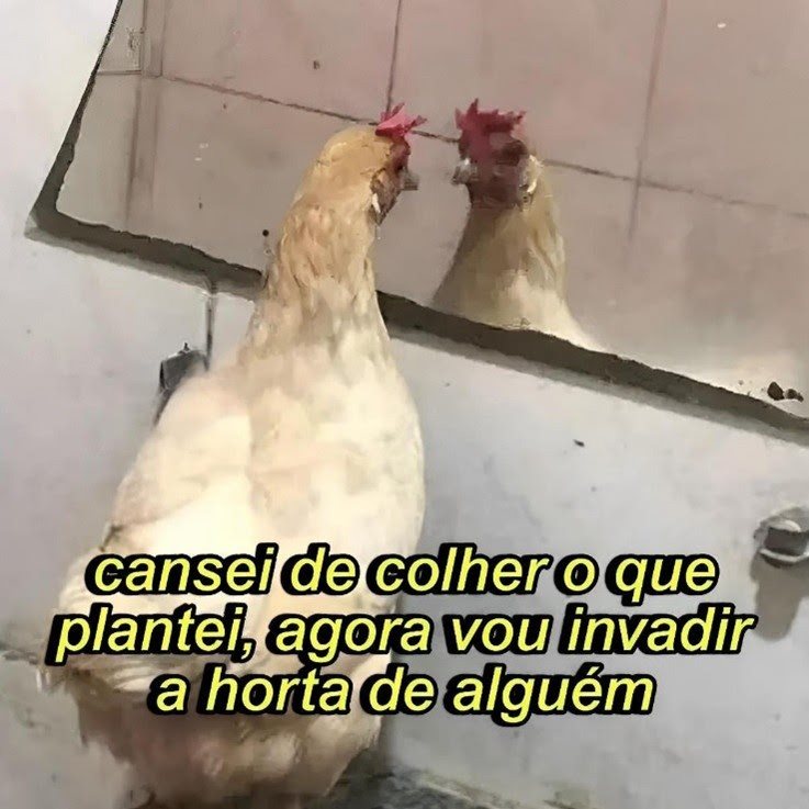 A proposta curatorial contempla diferentes linguagens e repertórios culturais de nomes consagrados da arte contemporânea brasileira