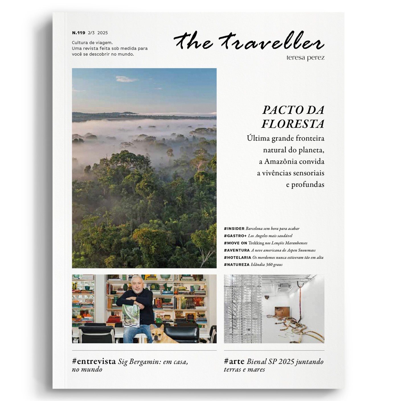 The Traveller 119