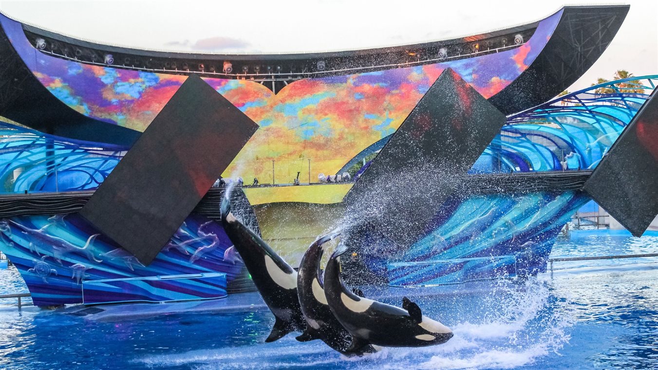 SeaWorld