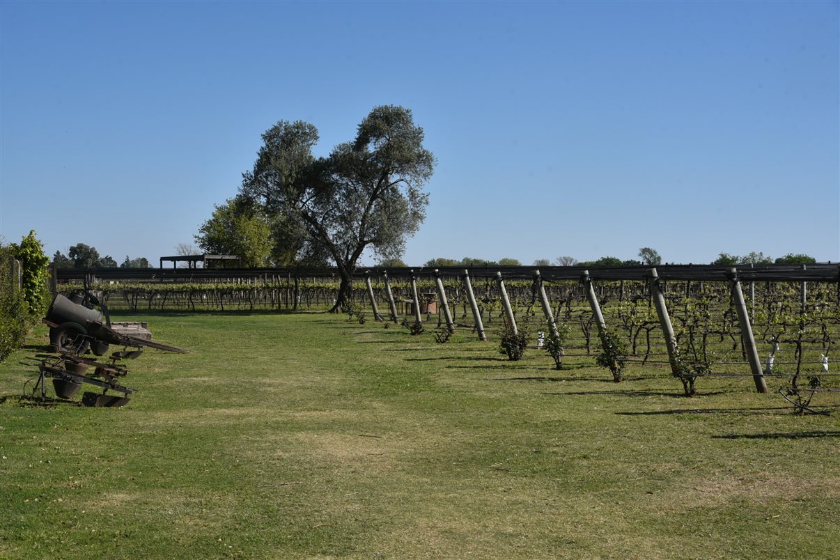 Bodega Terra Camiare, em Colonia Caroya (Argentina)