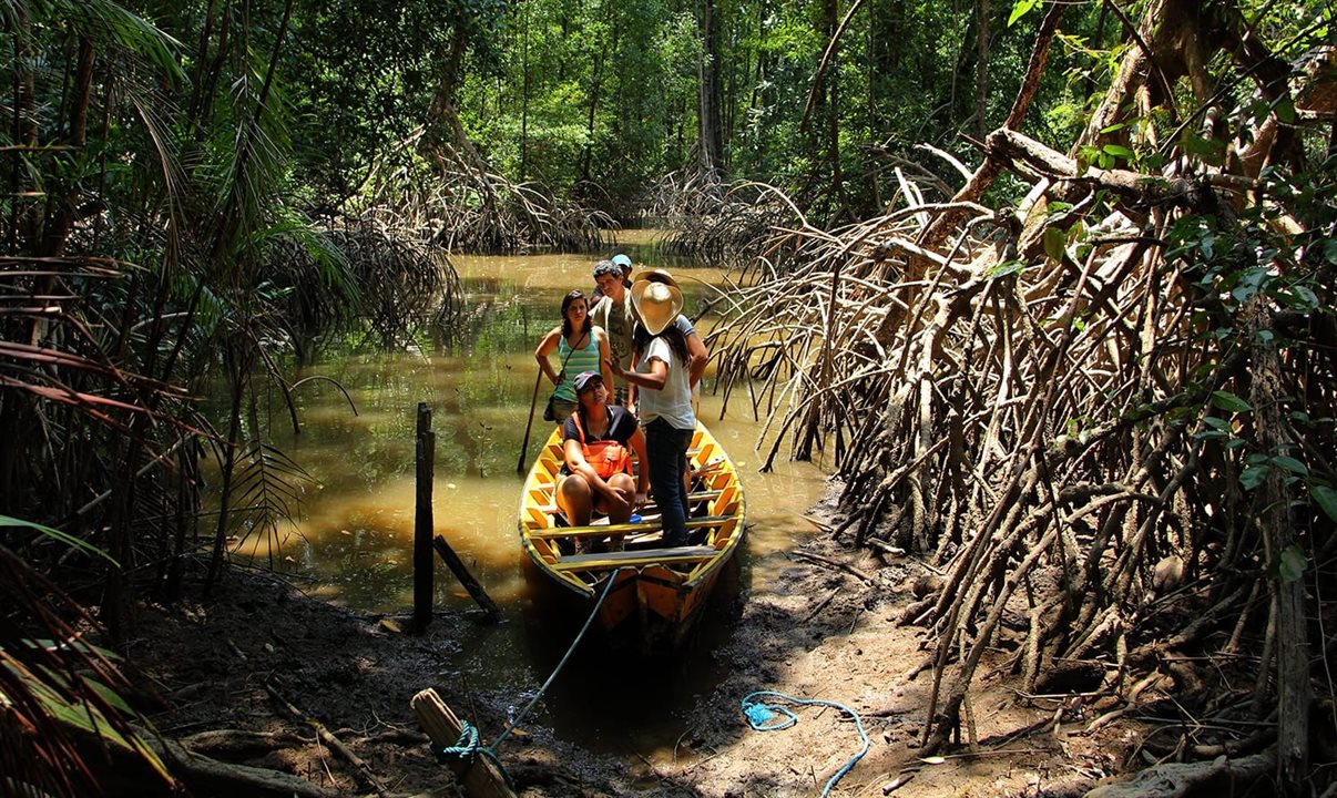  País terá a oportunidade de pautar a preservação ambiental, a qualificação do setor, a valorização cultural e o Turismo de base comunitária