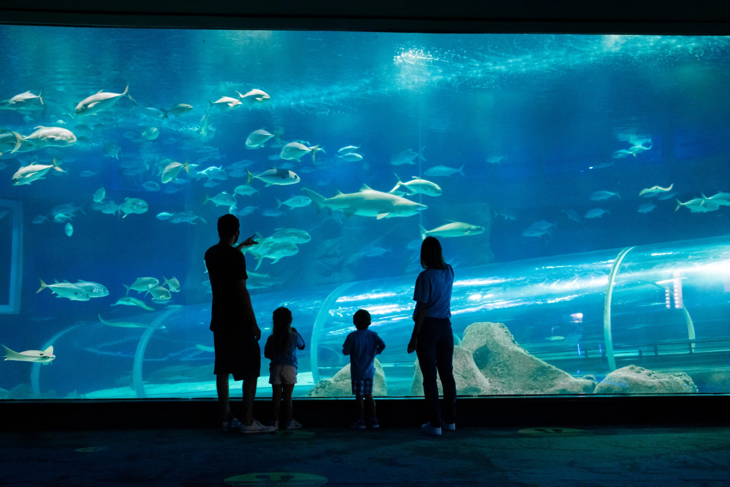 O AquaFoz é um centro de educação ambiental que revela como os rios e oceanos estão profundamente conectados