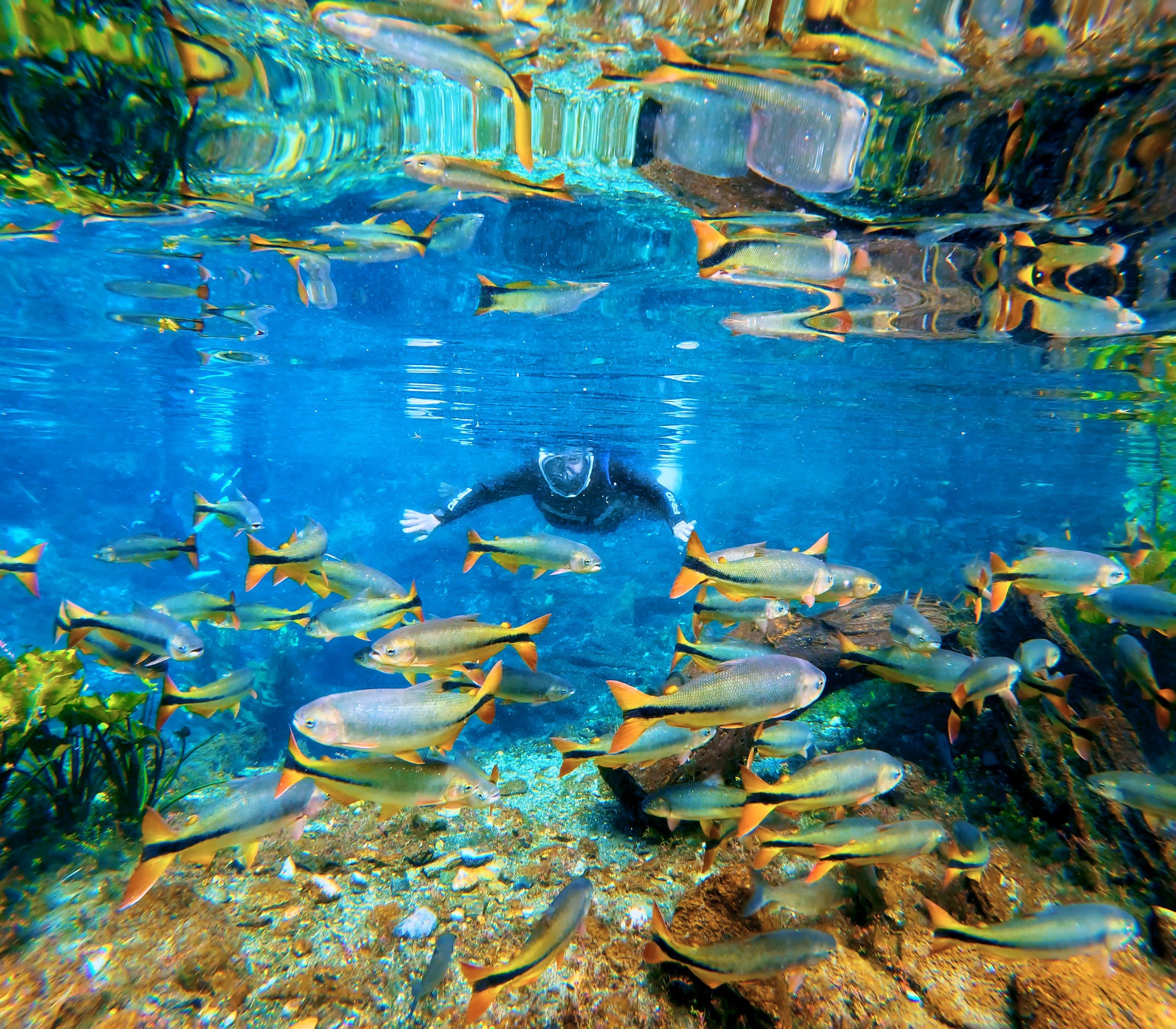 Nascente Azul