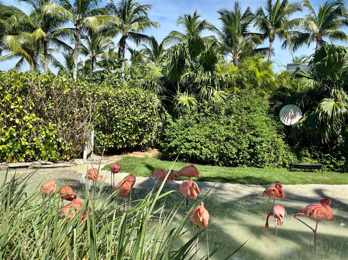 Simon Mayle abre a Proud Experiences Gathering na ILTM North America