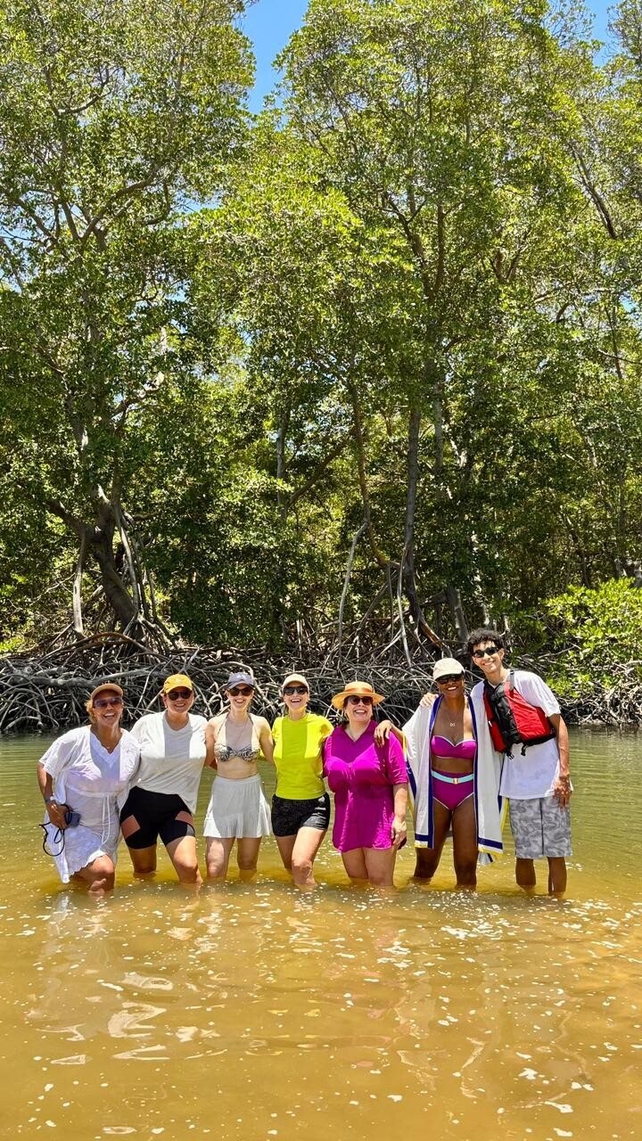 Fam Fênix no Maranhão
