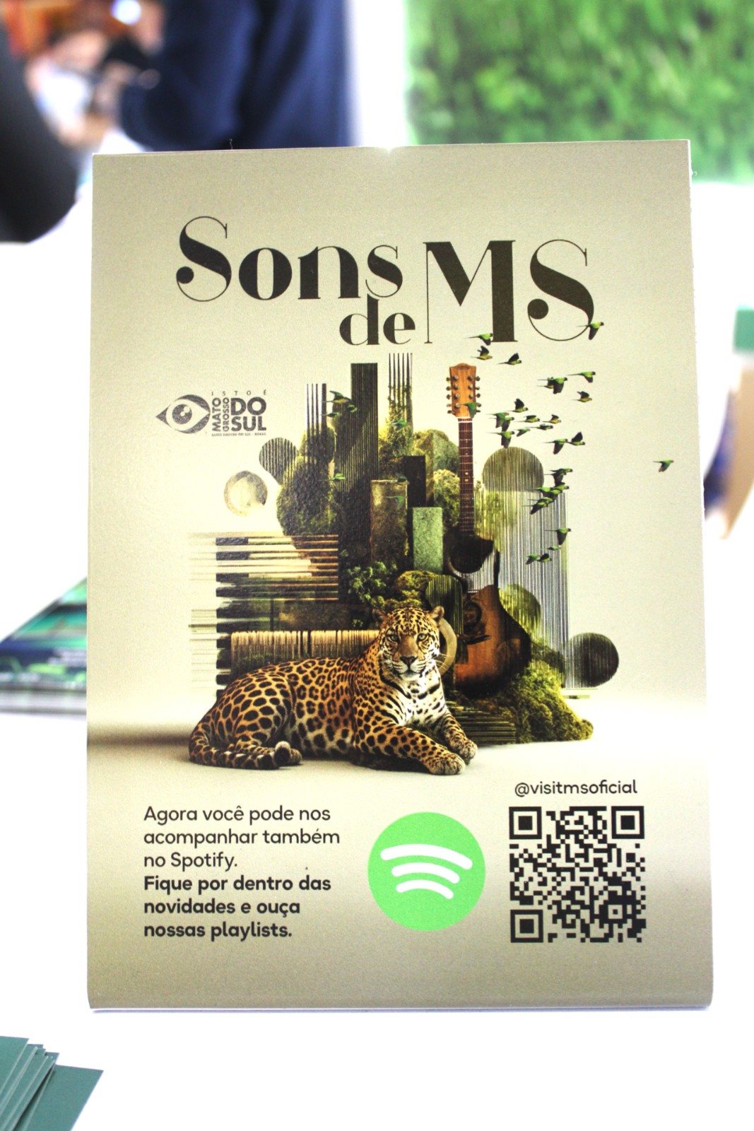 A ação inclui ainda o lançamento da playlist “Sons do MS” no Spotify