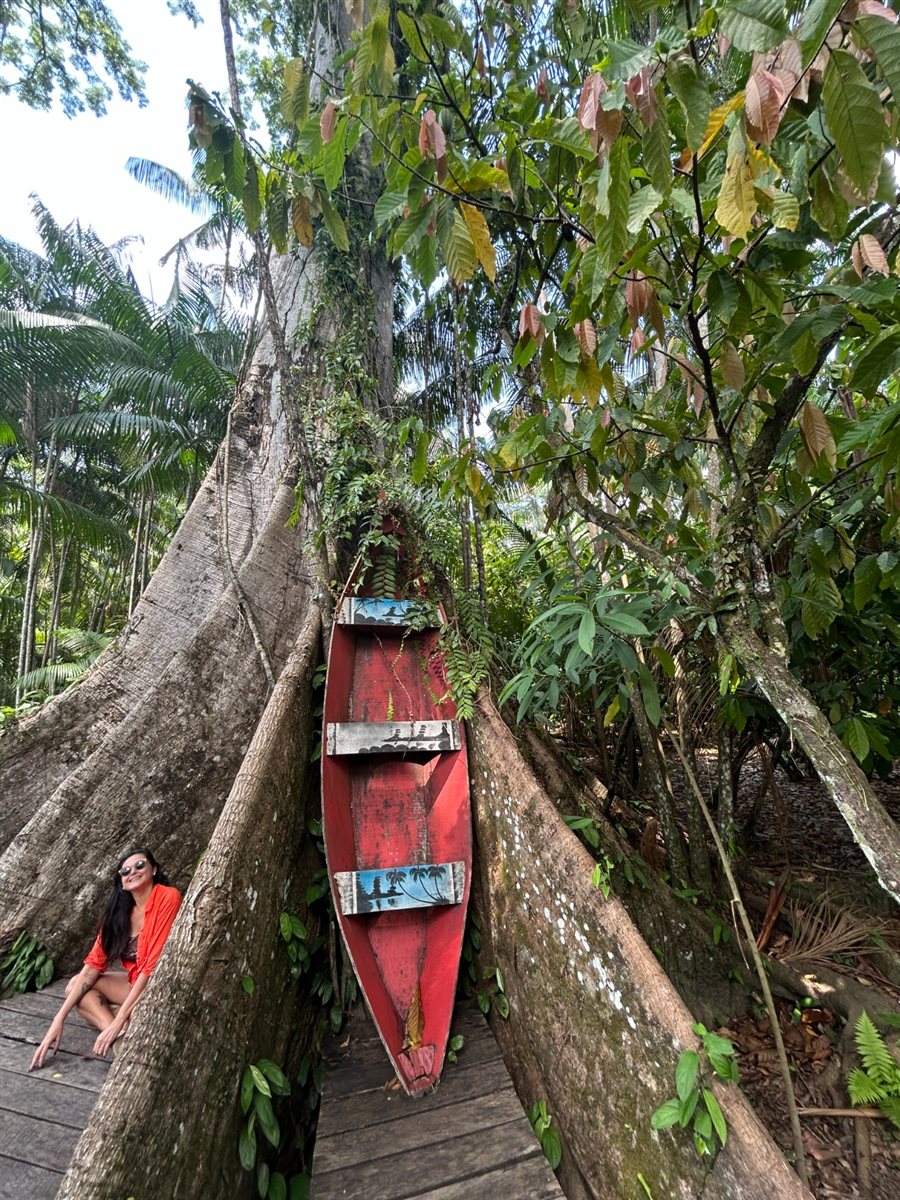 E uma majestosa sumaúma, que vioru ponto instagramável