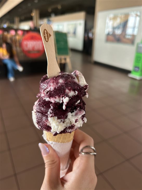 Sorvete de açaí com tapioca