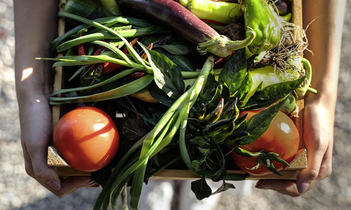 Cerca de 64 milhões de brasileiros sofrem de insegurança alimentar