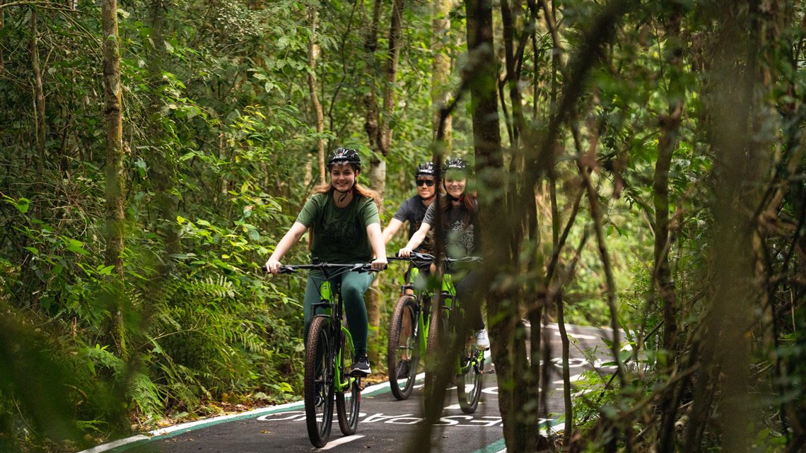 Neste passeio os visitantes podem alugar bicicletas convencionais ou elétricas