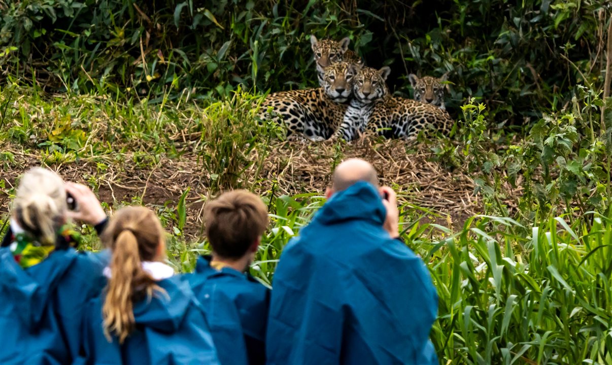 Pantanal do Mato Grosso do Sul