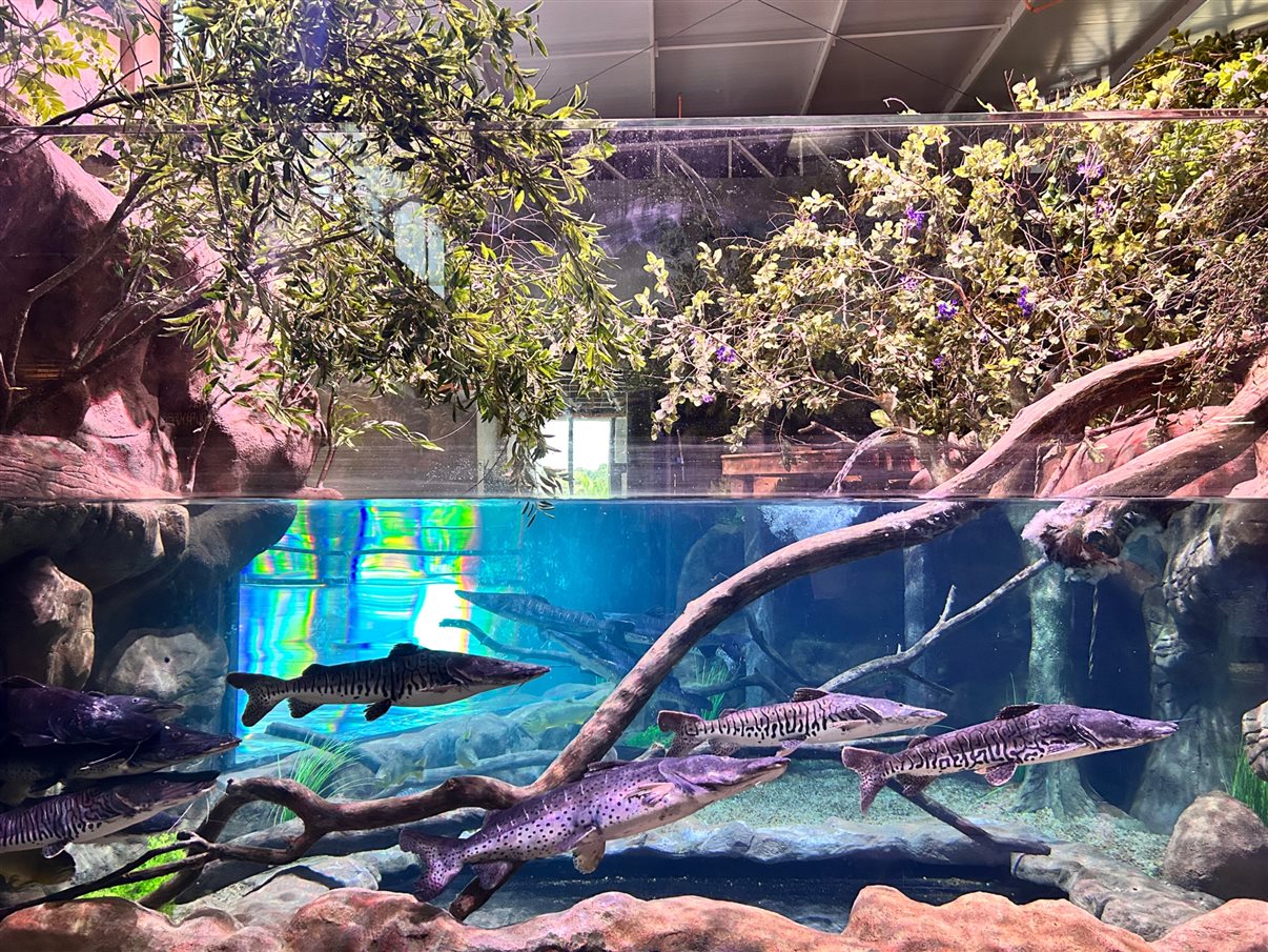 Biodiversidade do Rio Paraná