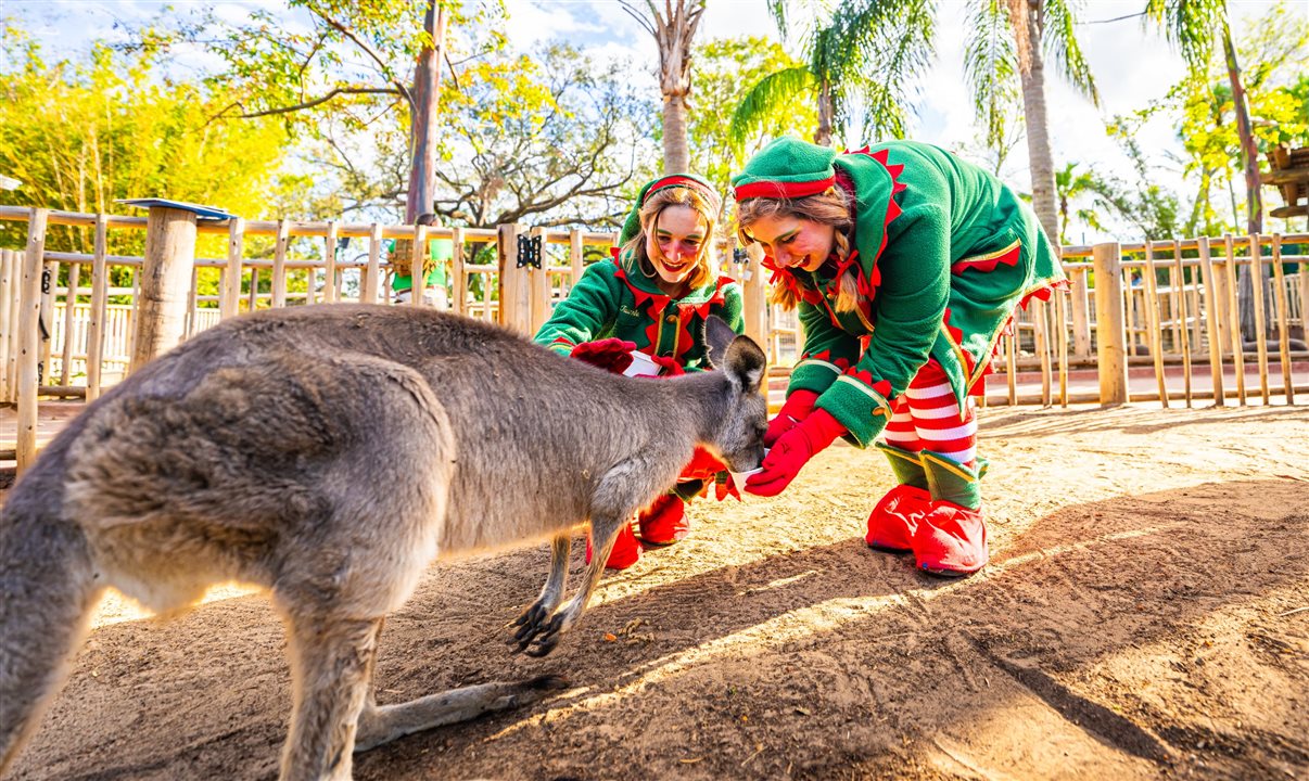 Christmas Town terá duas grandes novidades