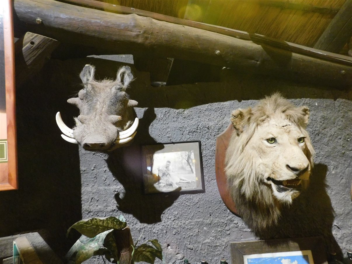 Primeira vista do território da Namíbia desde o jato da South African Airways (SAA)