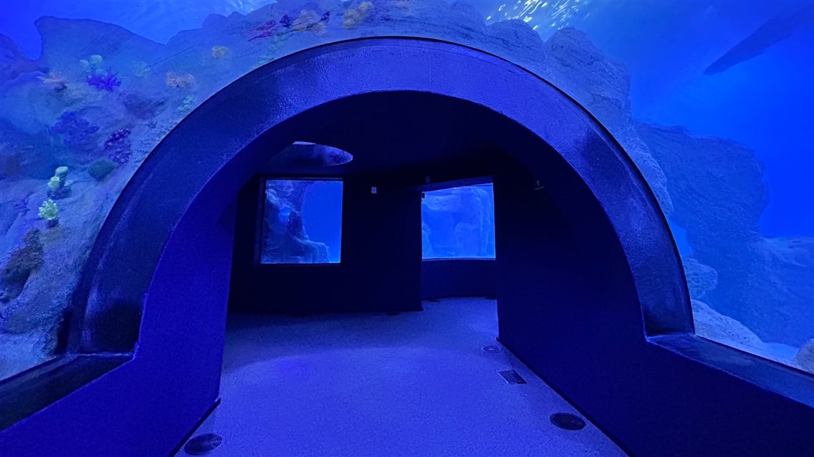 AquaFoz teve um investimento de R$ 140 milhões