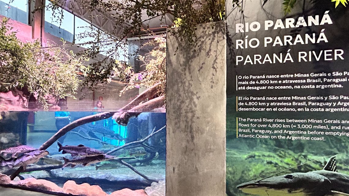 Tanque dedicado à biodiversidade do Rio Paraná