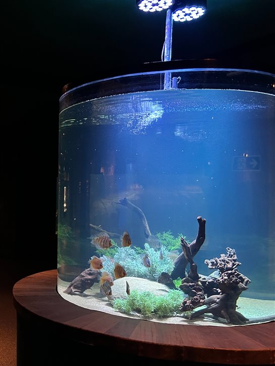 Biodiversidade amazônica no AquaFoz