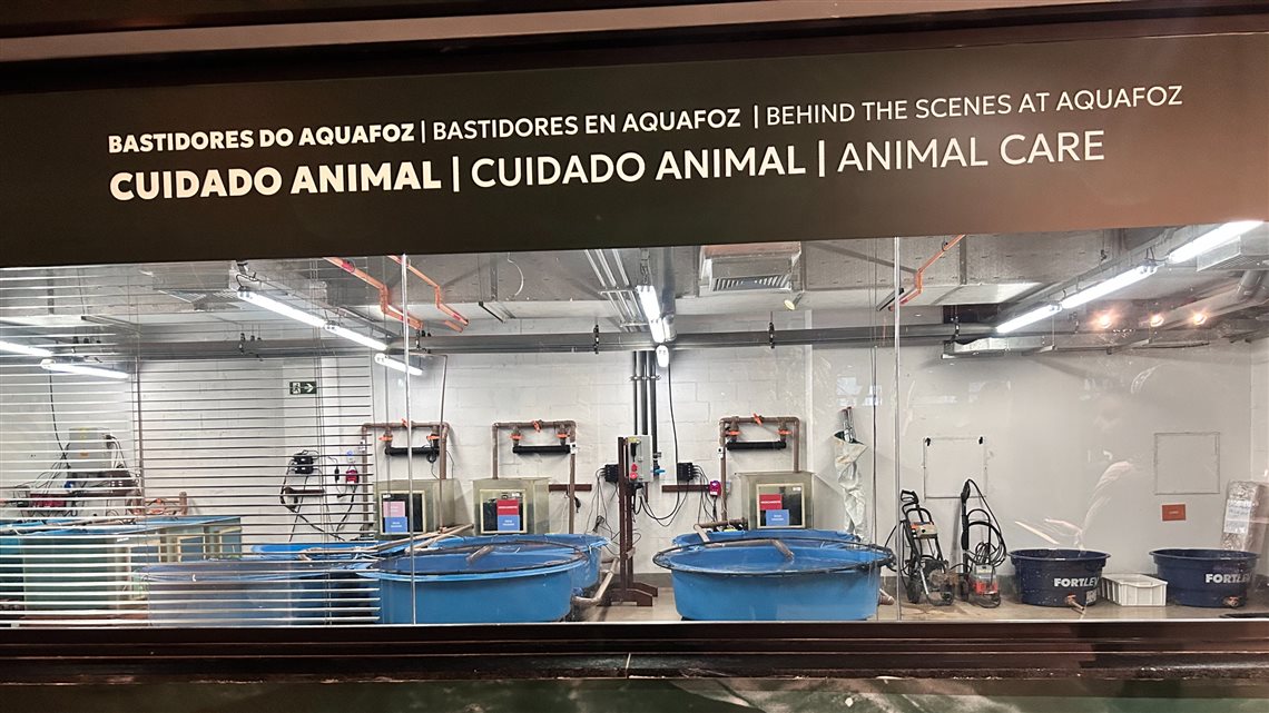 Bastidores do AquaFoz mostram espaço para cuidado animal