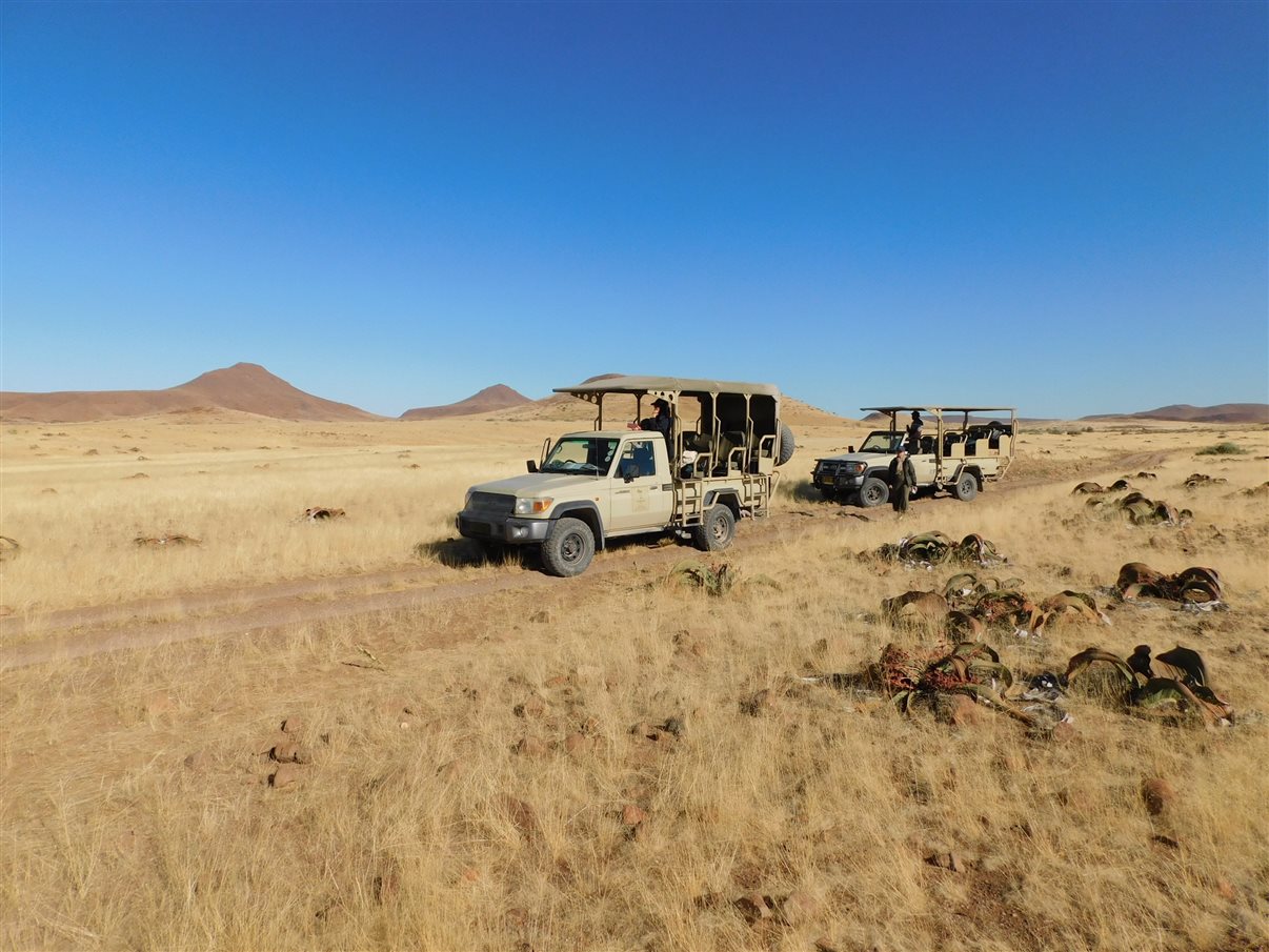 Carros de safári na reserva onde vivem também os rinocerontes-negros