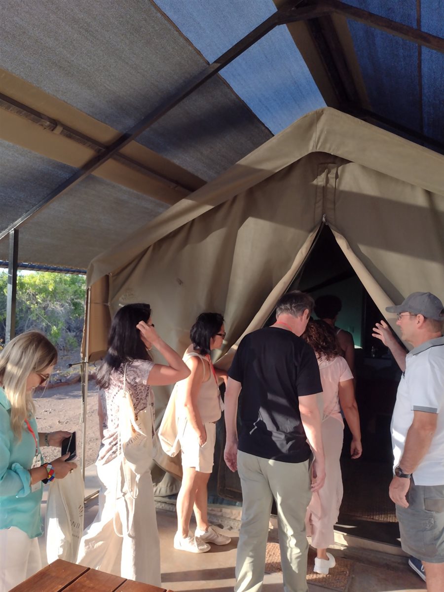 Carros de safári na reserva onde vivem também os rinocerontes-negros