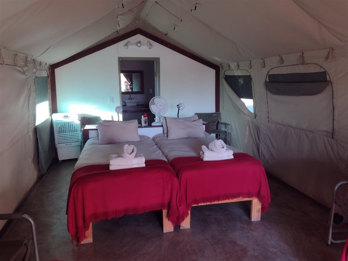 Carros de safári na reserva onde vivem também os rinocerontes-negros