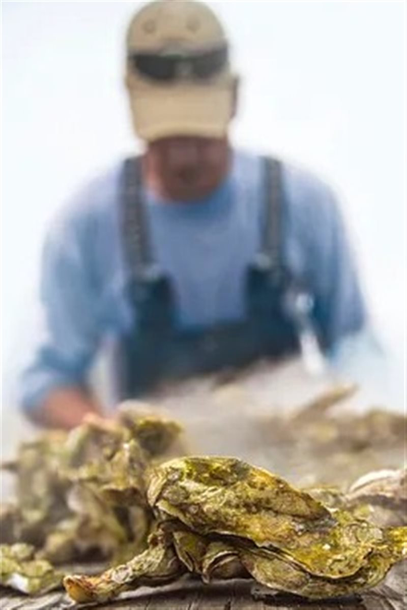 Gastronomia da Carolina do Sul