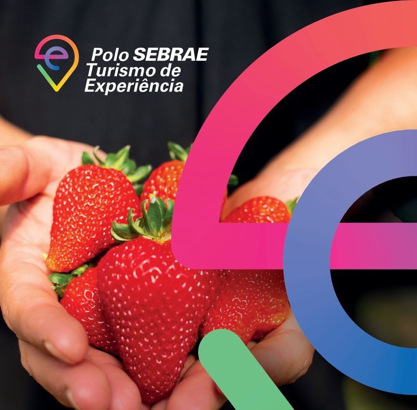 O caminho percorrido reforça a relevância do Polo Sebrae de Turismo de Experiência na consolidação do turismo de experiência