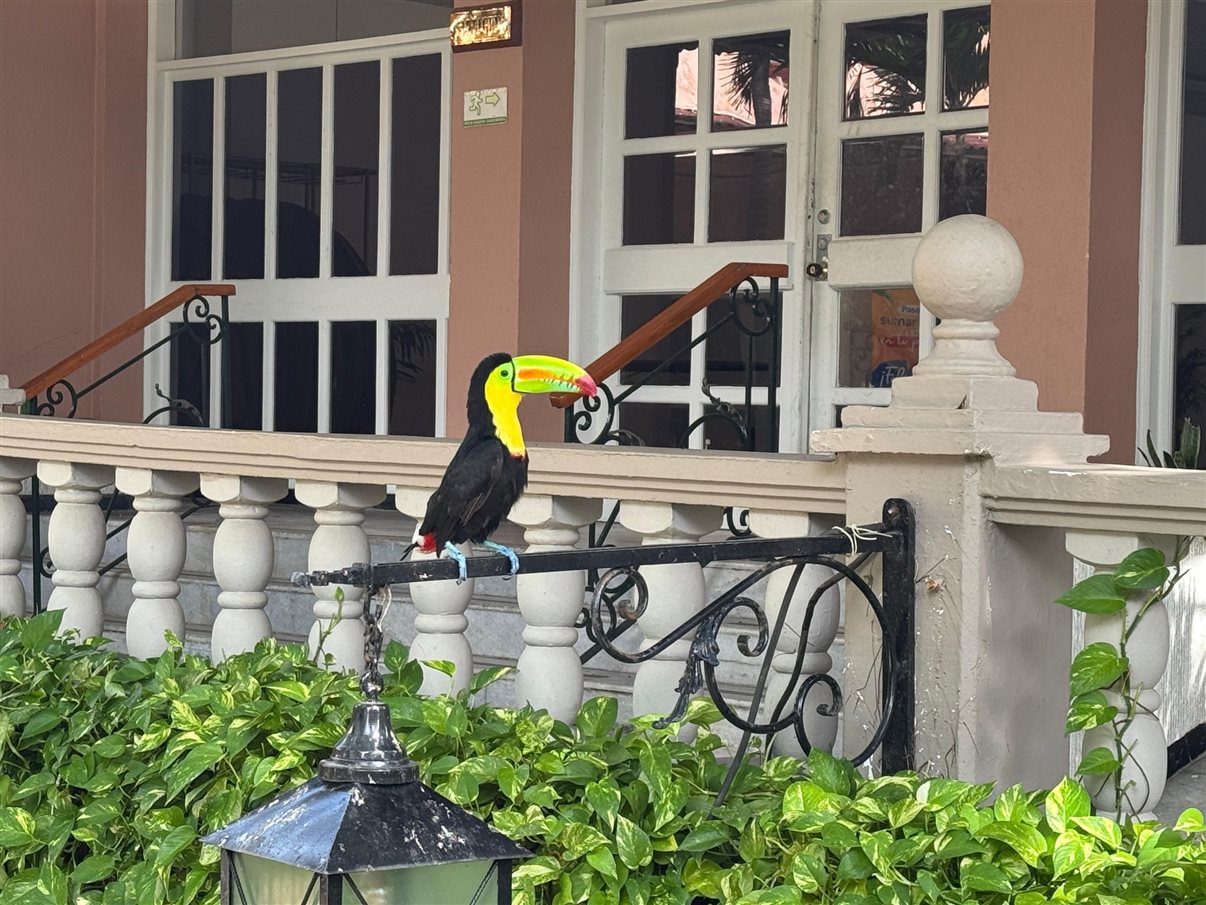 Agentes chegam em Cartagena para famtour da Visual