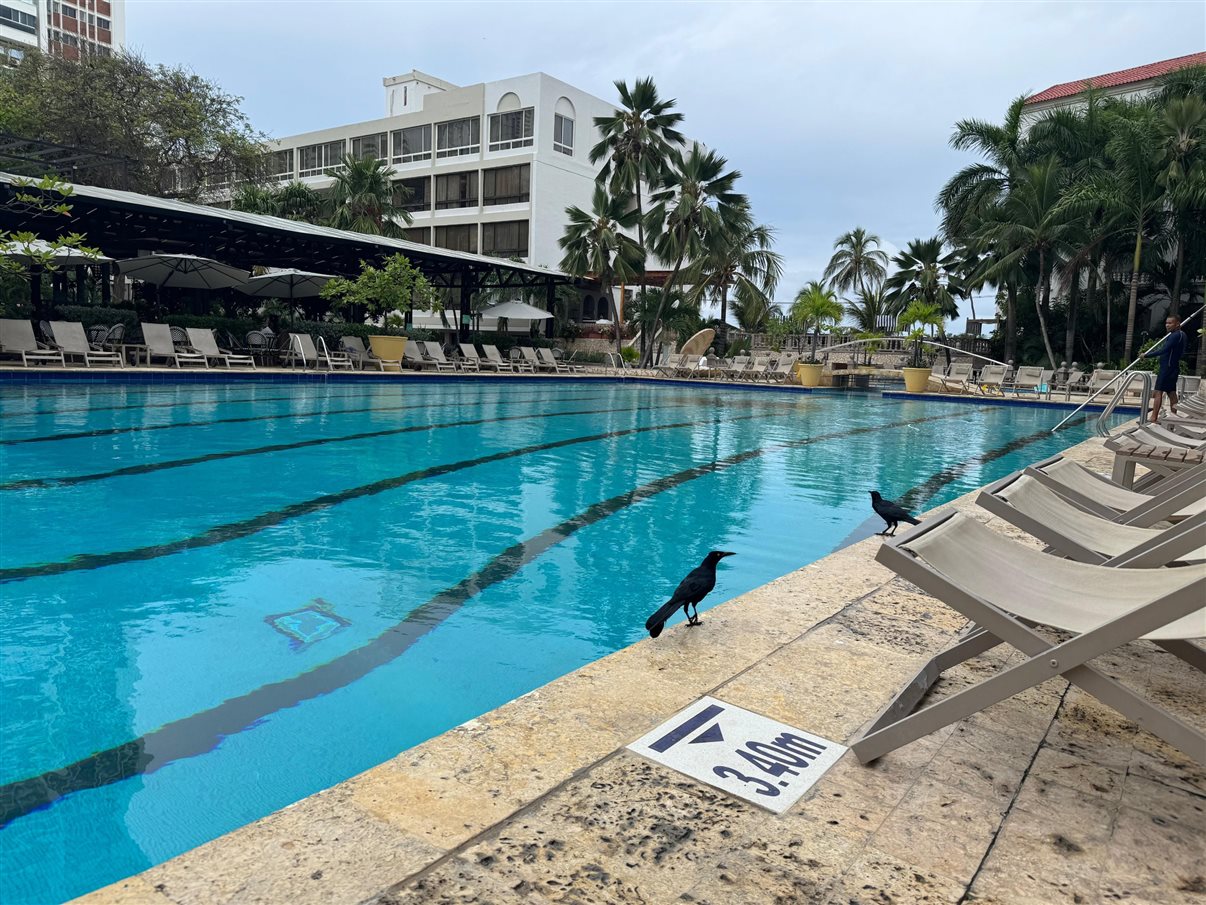 Agentes chegam em Cartagena para famtour da Visual