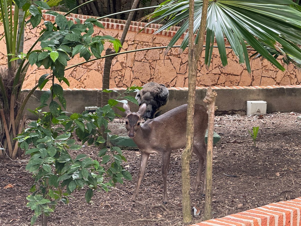 Agentes chegam em Cartagena para famtour da Visual