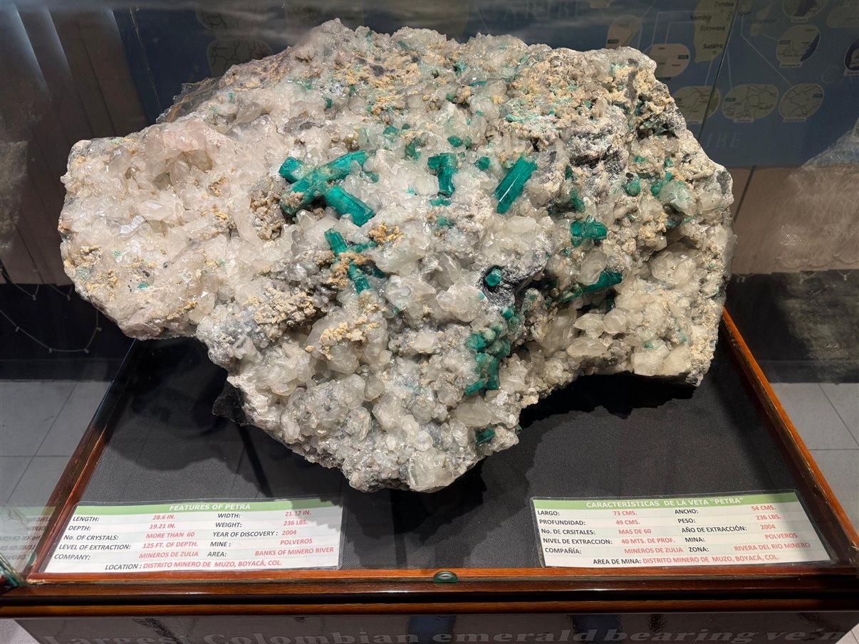 Henrique Gomes, da Personnalise Voyage, Wirley Ferreira, da Revelando o Mundo, Ricardo Sidaras, da PANROTAS, Fernando Alves, da IBR, Marcio Roberto, da São Judas Viagens, Hugo Lagares, da Visual Turismo, Italo Santos, da Kalina, Rodrigo Martines, da Visual Turismo, e Denys Duarte, da Alternativa Experience