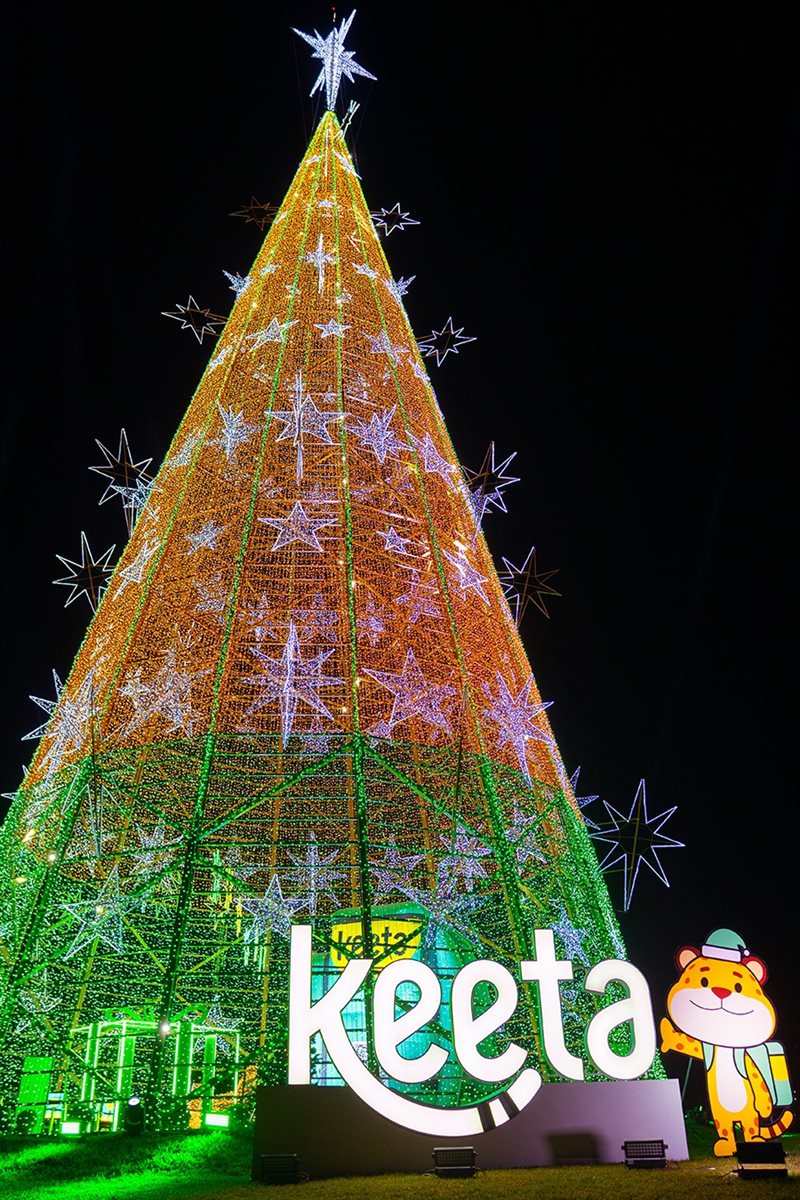 Árvore de Natal do Ibirapuera