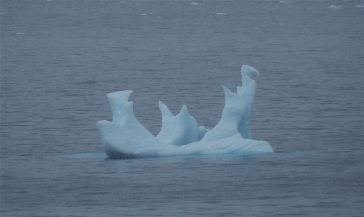 Cada iceberg aparece como uma obra de arte única da natureza