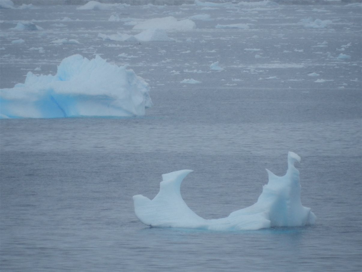 Detalhe de tag que indica a qual grupo cada passageiro faz parte durante a expedição