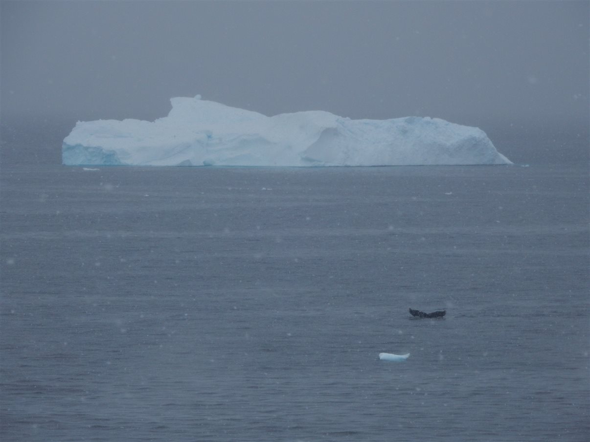 Detalhe de tag que indica a qual grupo cada passageiro faz parte durante a expedição