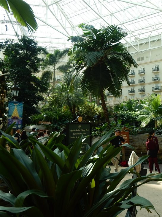 &Aacute;trio do Gaylord Palms
