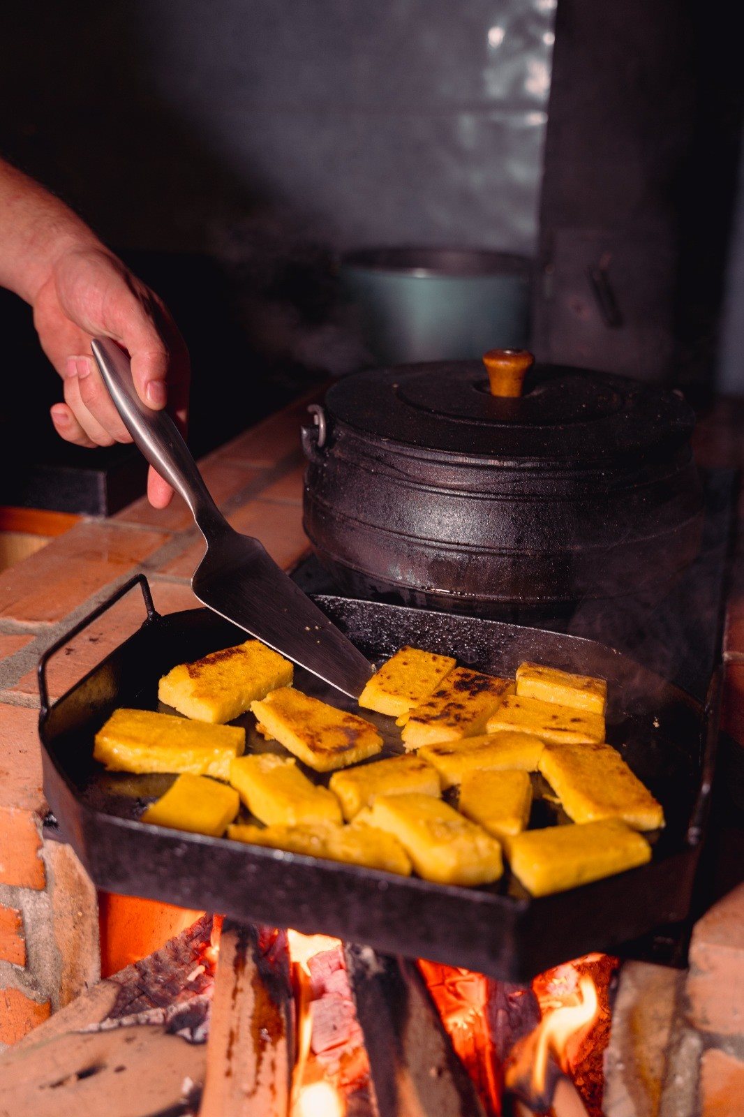 Na Região Metropolitana, a Serra abriga propriedades aos pés do Mestre Álvaro que oferecem mini fazendas ideais para o público familiar