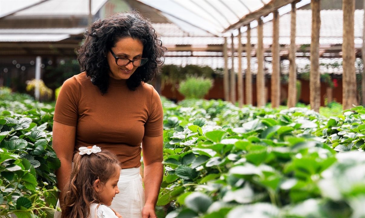 Ao todo, no Espírito Santo, são 31 circuitos que envolvem o agroturismo